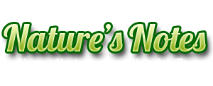 newsletter_banner