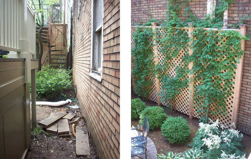 Some city gardens are bordered by their neighbor's houses, as in this case. We softened the hardness of the wall by adding a lattice screen with flowering vines.