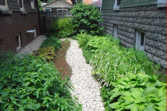 Situated between houses with downspouts and sump exits, a swale and dry stream bed flanked with water-loving plants directs rainwater away from the foundation of both homes. 