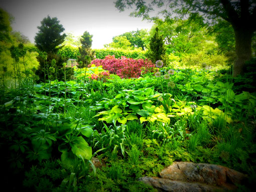 Chicago-Botanic-Garden  15