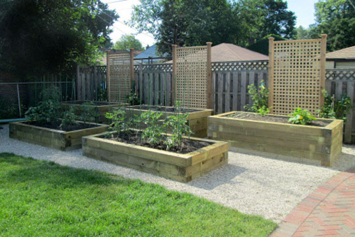 Two heights of raised gardens made with landscape timbers. Lattice screens add a decorative and functional vertical background. Note a layer of gravel facilitates access to the gardens and prevents muddy shoes.