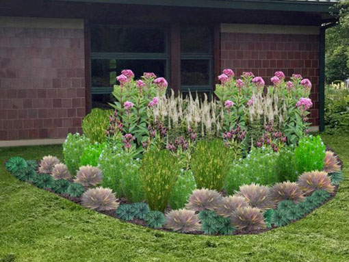 This visualization for a planned rain garden at the Evanston Ecology Center features all the Sunny Rain Garden Perennials we list below. Note bloom times will vary per species.