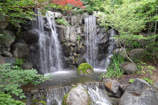 Anderson Japanese Gardens. Photo credit: tripadvisor