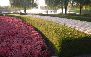 Chicago-Botanic-Garden