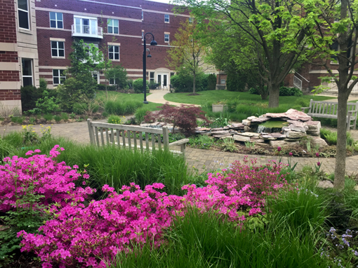 The restorative garden at Three Crowns Park, almost 3 years after its installation in the autumn of 2012.