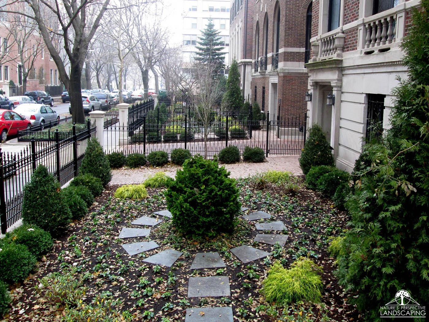 a formal front yard planting with evergreens