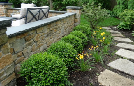 boxwood hedge and stepstone path along mortared stone walls and pillars- Nature's Perspective Landscaping