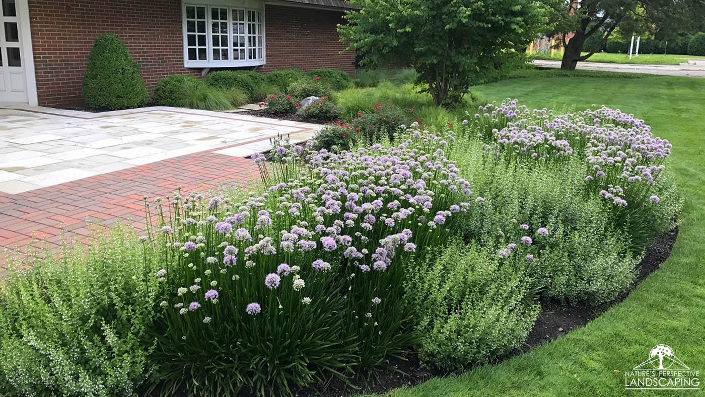 IRMCO summer blooming perennials-Nature's Perspective Landscaping