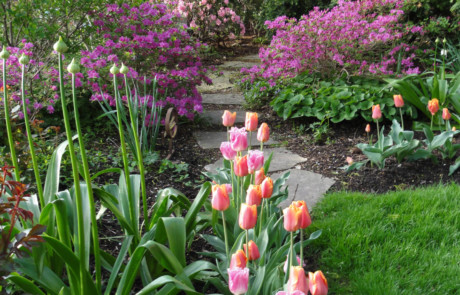 Bulbs, flowering azaleas, and a flagstone stepstone path