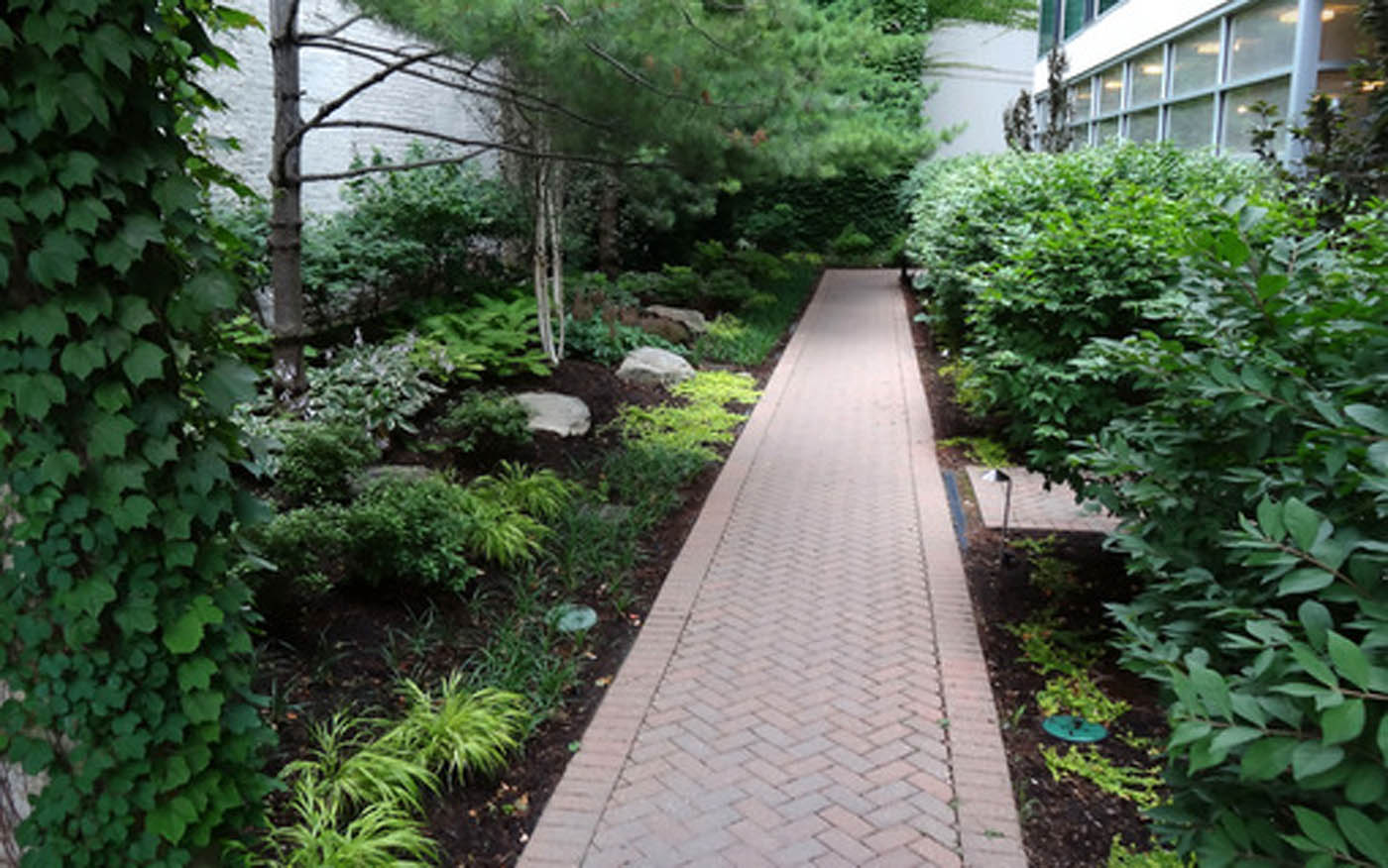 courtyard Japanese garden - Nature's Perspective Landscaping