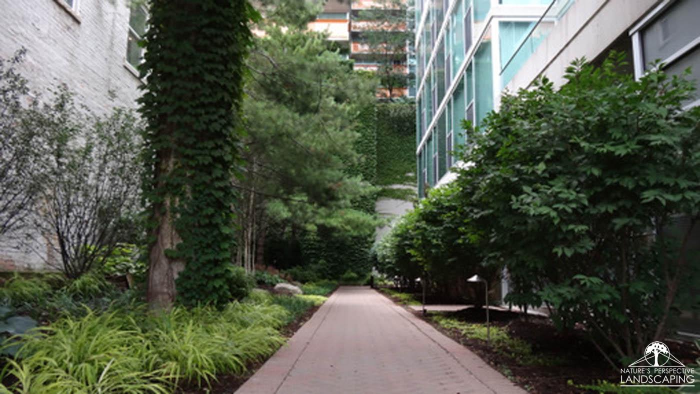 courtyard shade garden - Nature's Perspective Landscaping