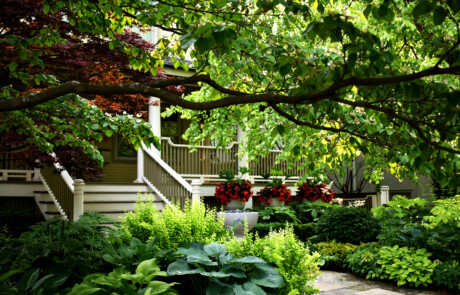 Lawn-free lush front shade garden