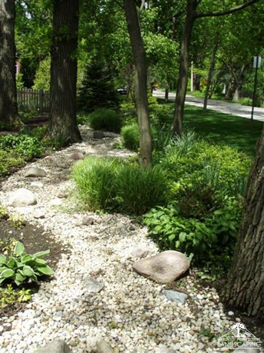 dry stream bed in partial shade - Nature's Perspective Landscaping
