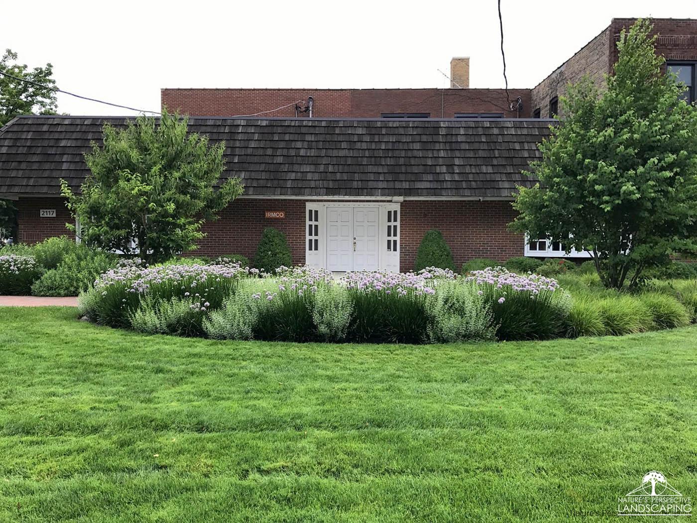 IRMCO main entrance, allium and calamint - Nature's Perspective Landscaping