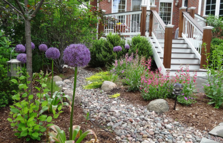 drystream bed near deck, beardtongue and alliums-Nature's Perspective Landscaping
