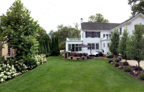 Large lawn surrounded by formal plantings and flowering hydrangea