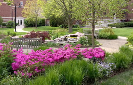 Pink azaleas and tranquil seating area near pondless waterfall