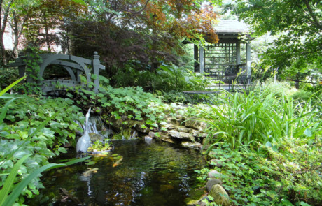Pond and shade garden