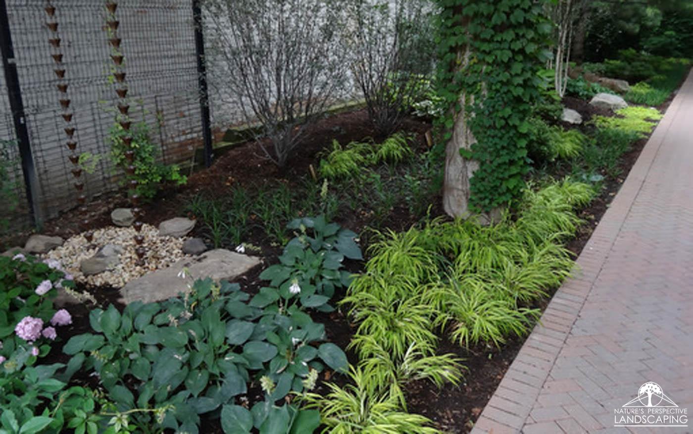 oriental shade garden with rain chains- Nature's Perspective Landscaping