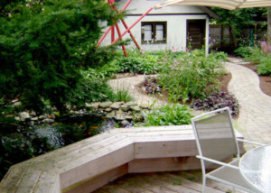lawn-free shade garden, deck, pond, gravel path- Nature's Perspective Landscaping