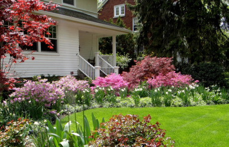 spring-blooming azaleas and bulbs in front foundation bed