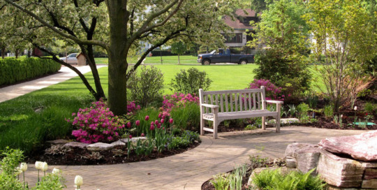 spring tulips, azaleas and bench - Nature's Perspective Landscaping