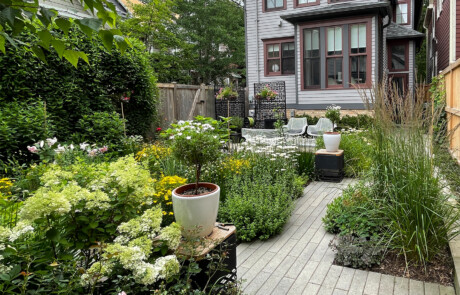 Lawn-free backyard garden with paver walkway