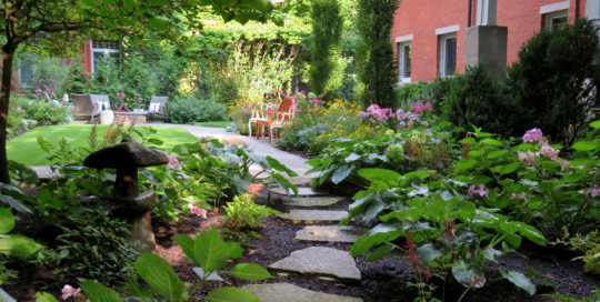 hydrangeas and shade garden, meandering stepstone walk