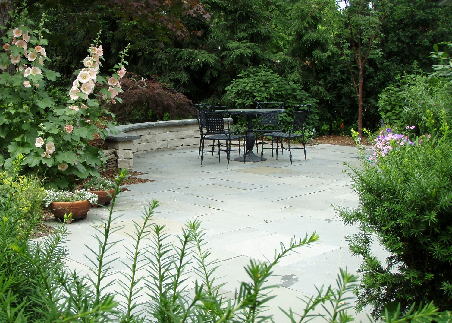 Bluestone-patio with irregular edge and curved mortared limestone wall