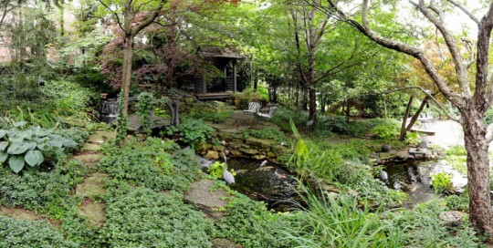 Japanese tea house with koi ponds and shade plantings