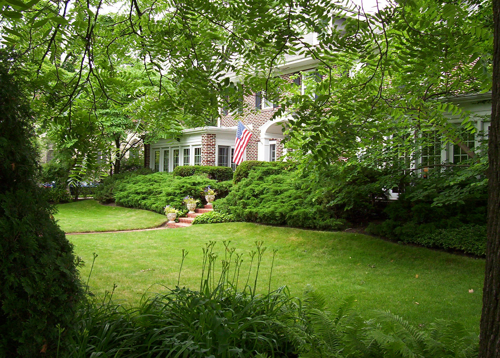 front foundation with overgrown junipers and hedge