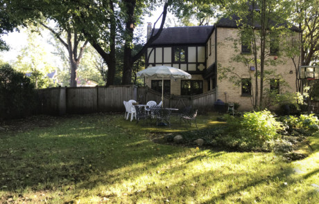 before photo of shady backyard