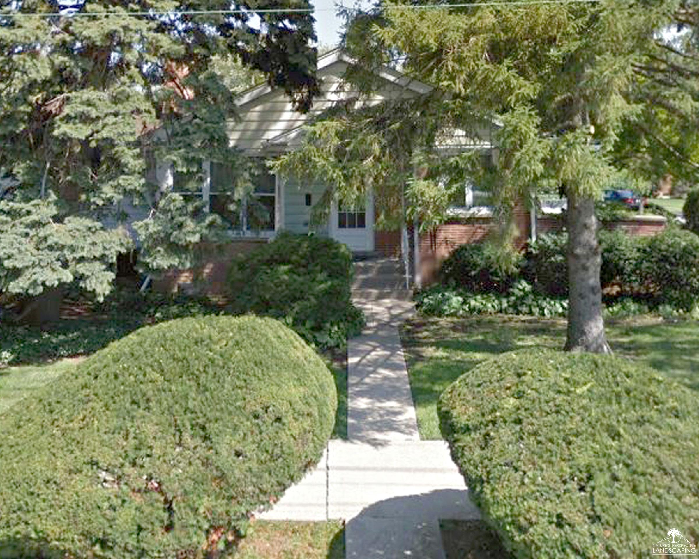 before photo of overgrown front yard