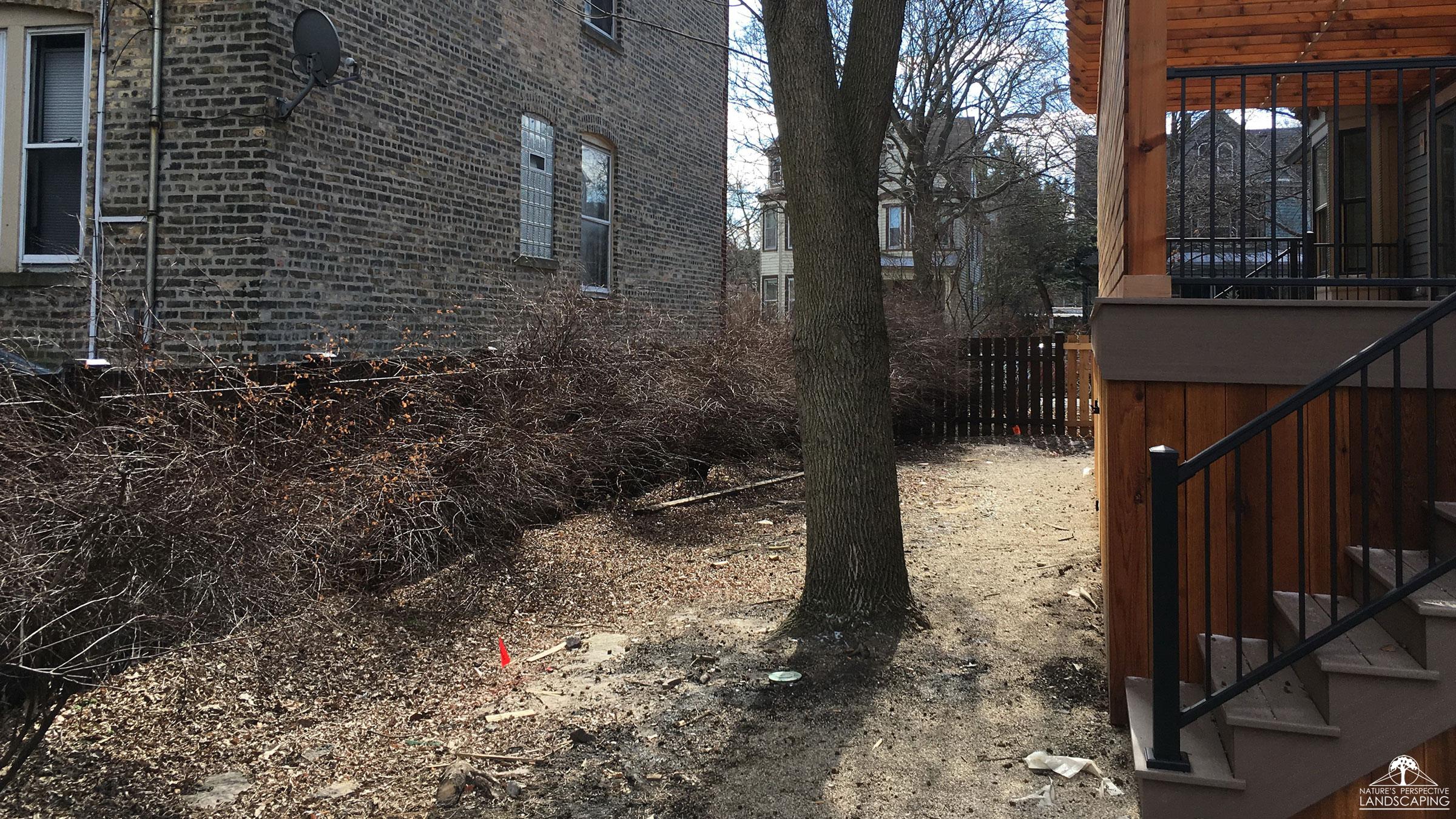 before photo of side garden