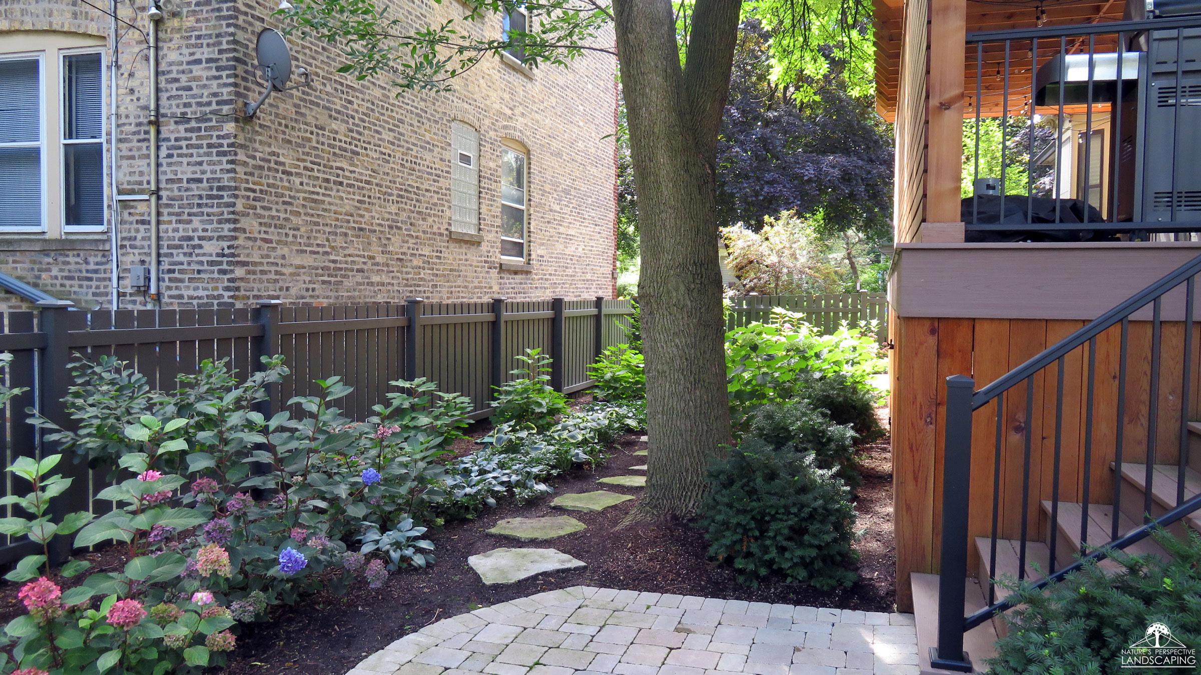 lush side garden planting