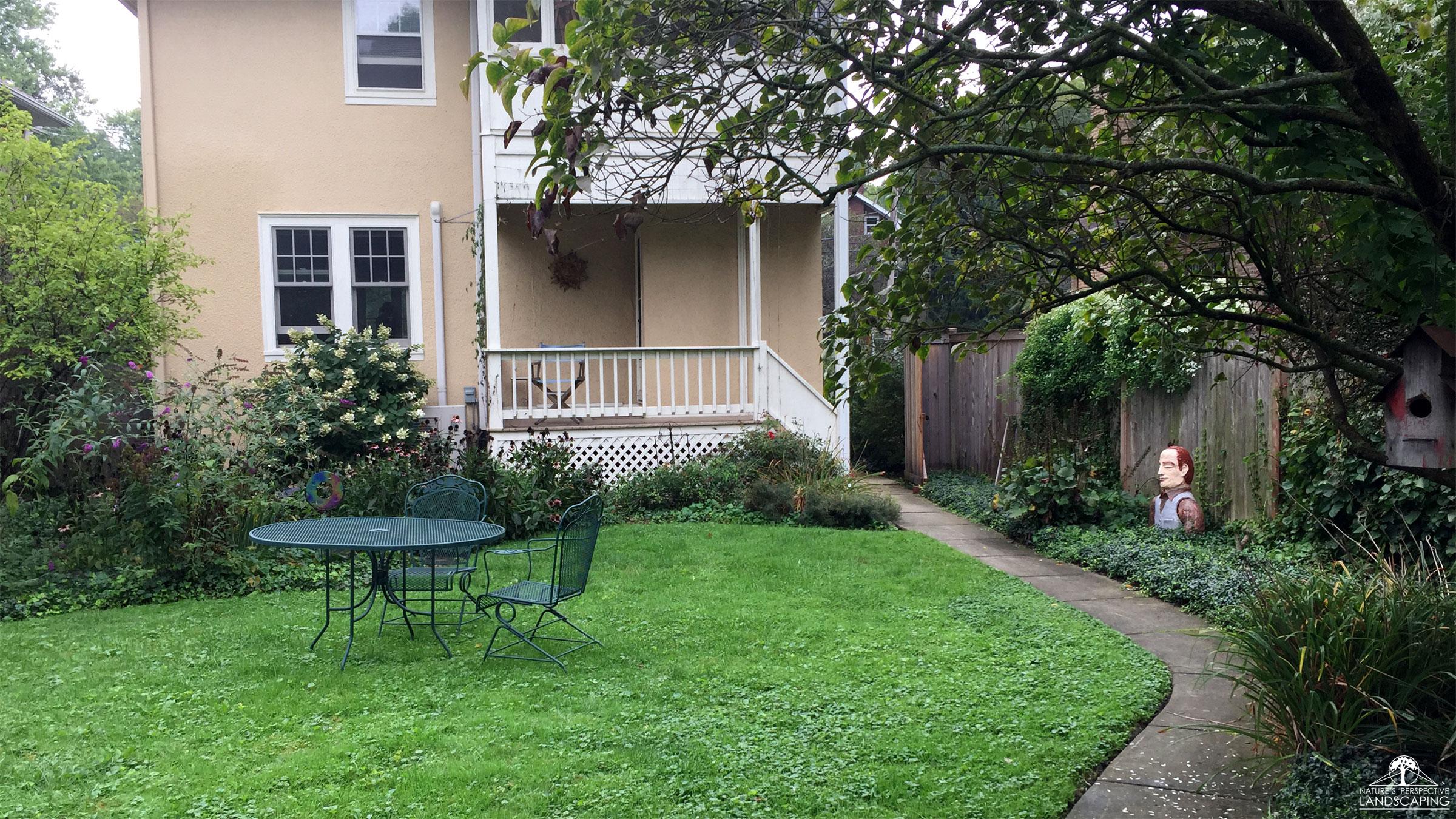 a before photo of a backyard garden