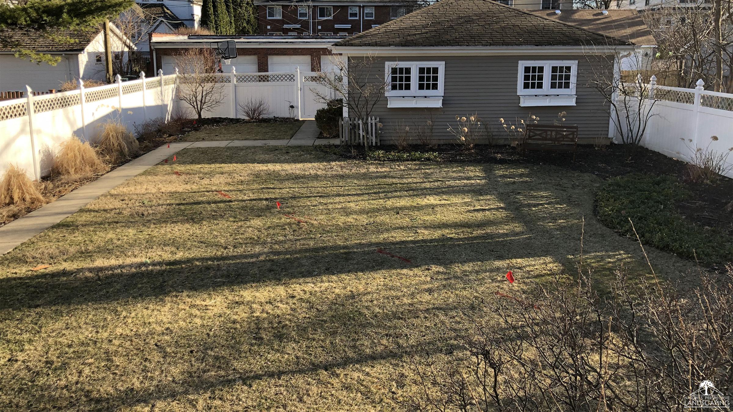 before photo of backyard