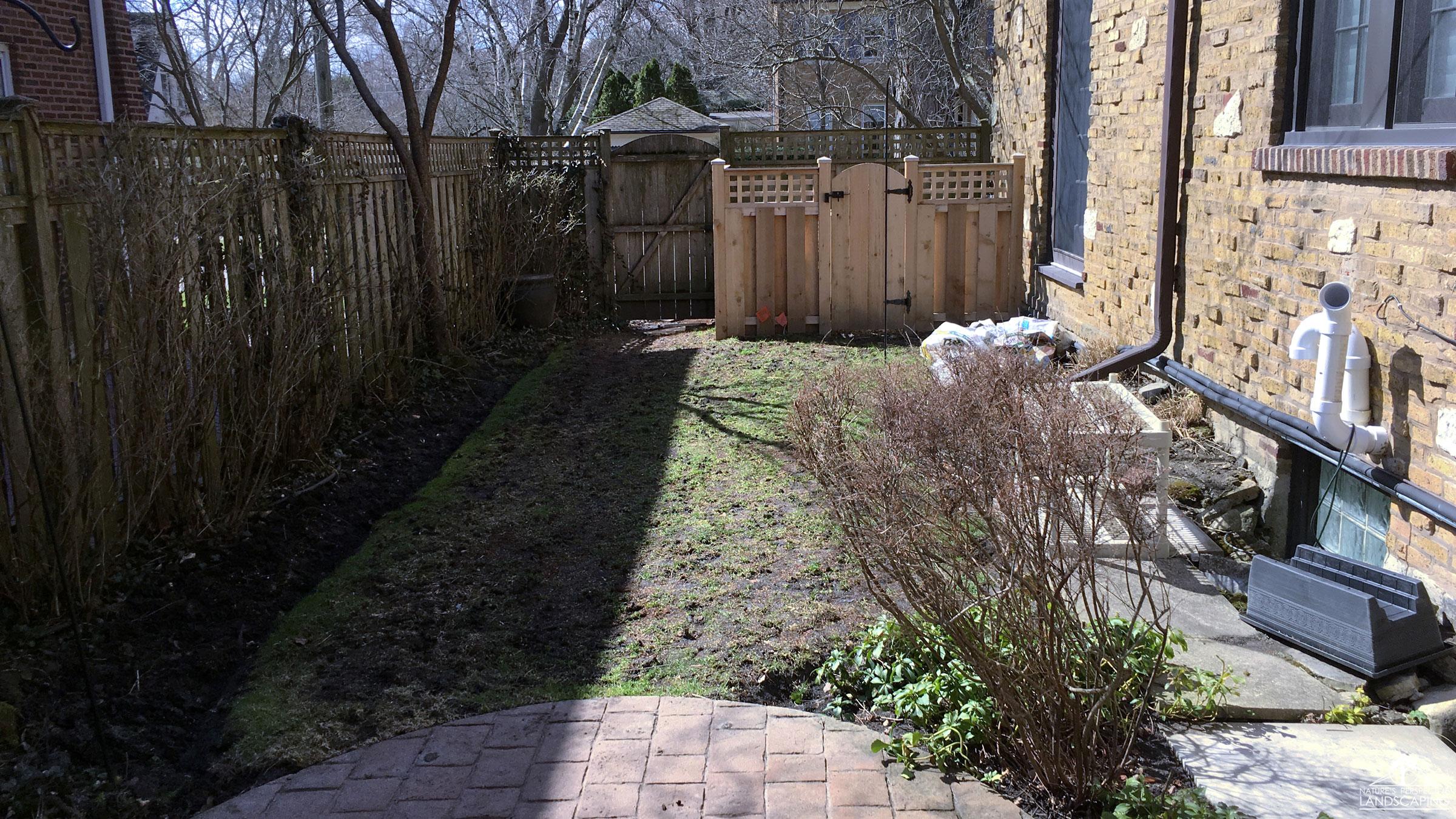small backyard before