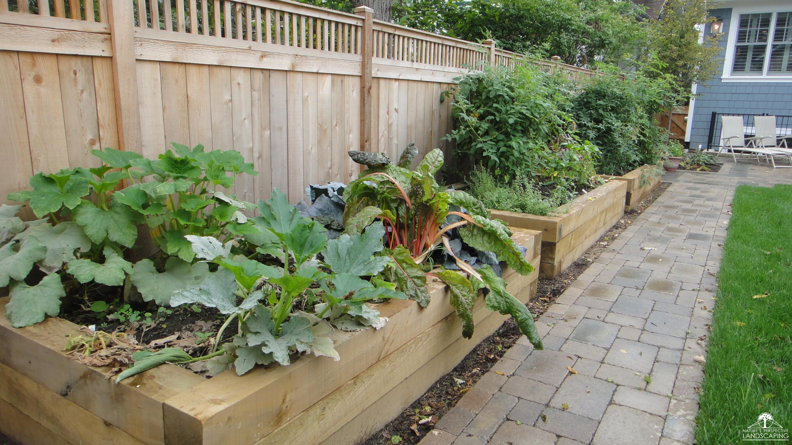 Raised Vegetable Gardens For Health & Happy Gardening - Nature's Perspective Landscaping