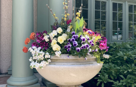 Spring Container