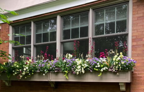 Large windowbox full of spring annuals