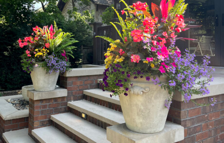 Two summer containers on wing walls of steps.