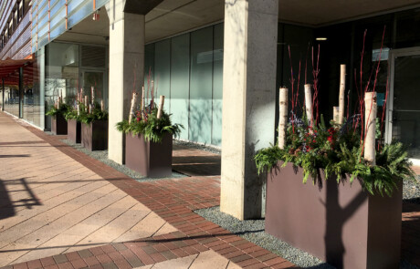 Large rectangular winter containers along sidewalk
